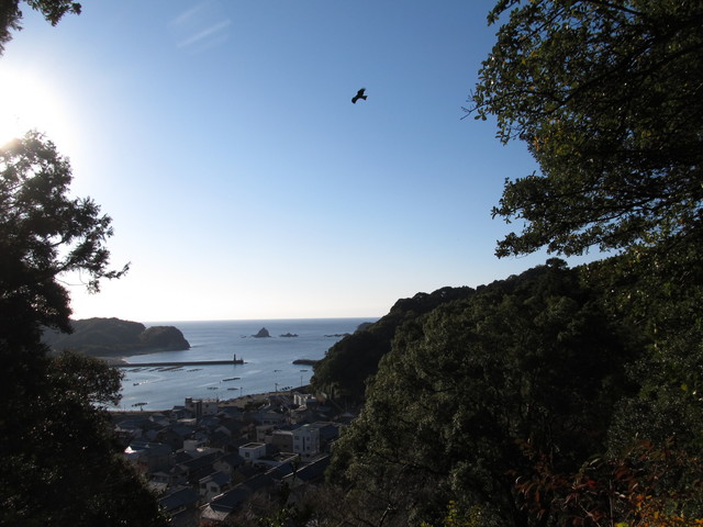 t19_063.jpg
