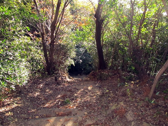 t19_064.jpg