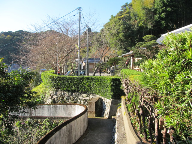 t19_067.jpg
