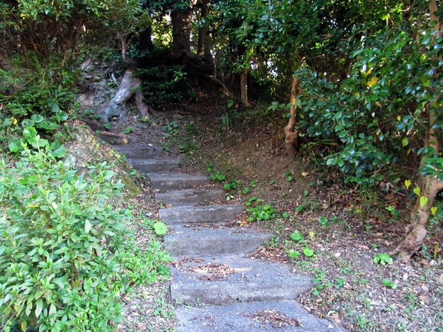 t19_069.jpg