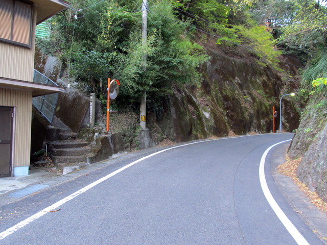 t19_071.jpg
