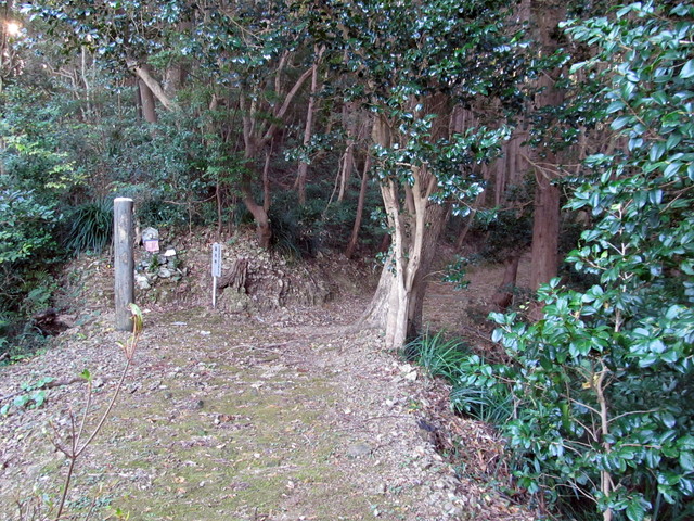 t19_072.jpg