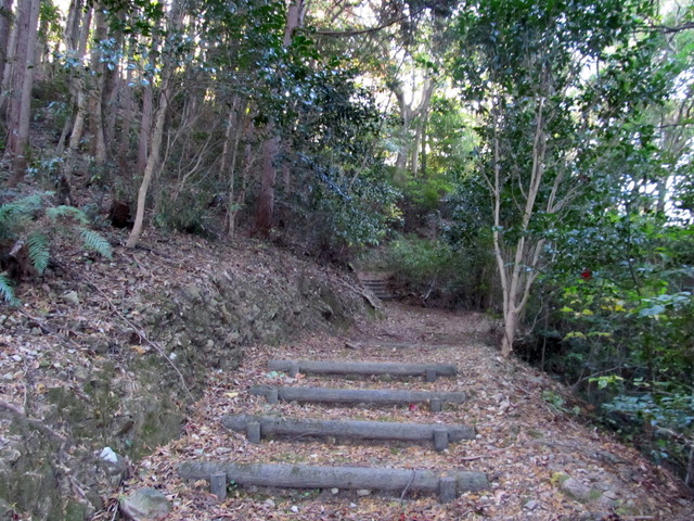 t19_073.jpg
