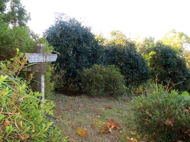 t19_074.jpg