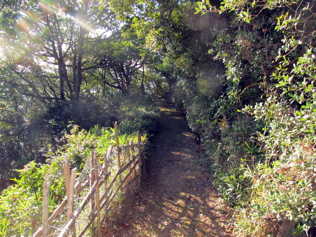 t19_077.jpg
