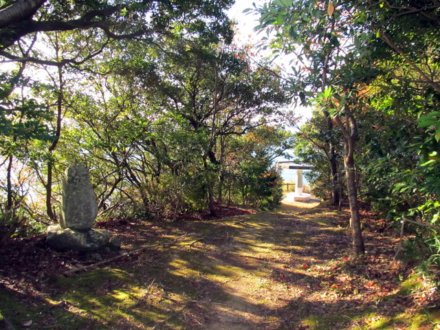 t19_078.jpg