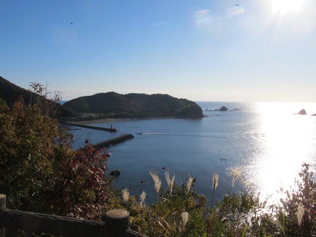 t19_081.jpg