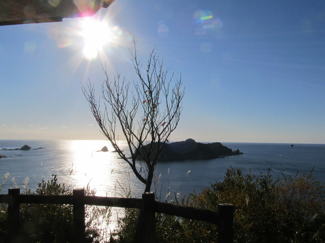 t19_082.jpg