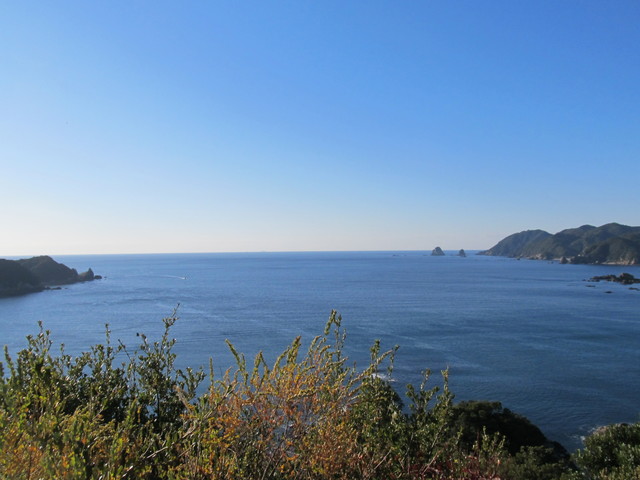 t19_083.jpg