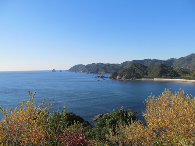t19_085.jpg