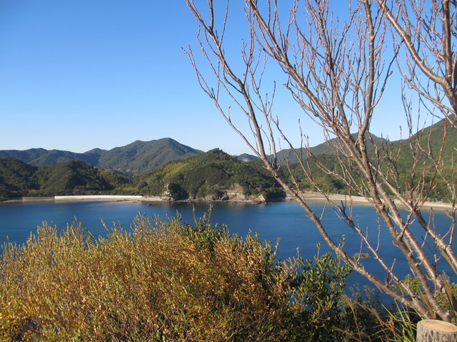t19_086.jpg