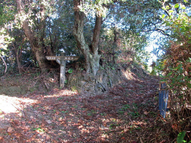 t19_089.jpg