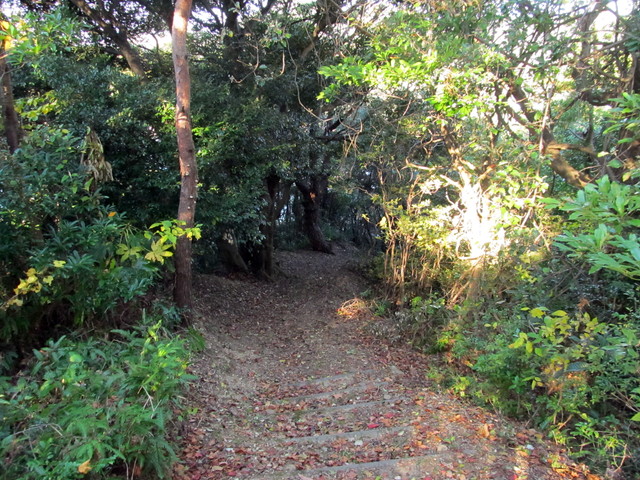 t19_091.jpg