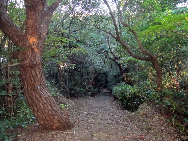 t19_092.jpg
