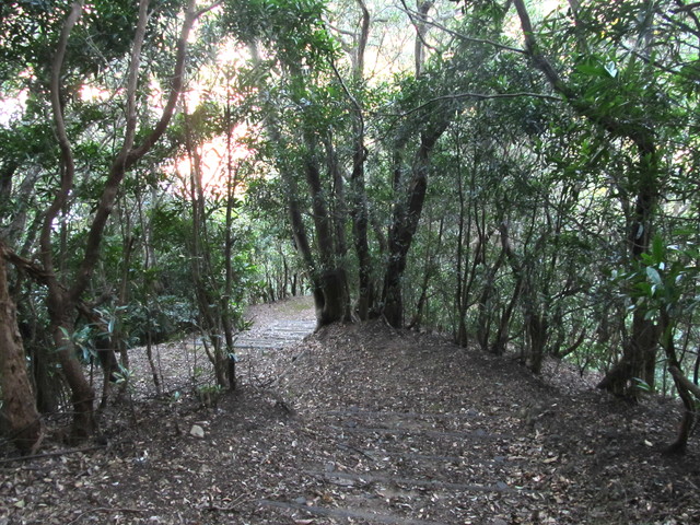t19_093.jpg