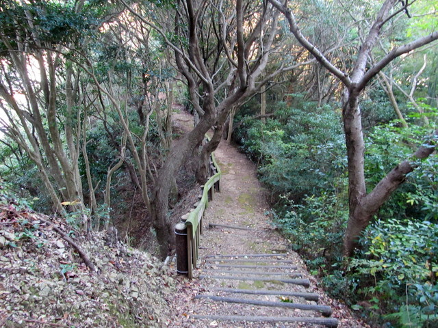 t19_094.jpg