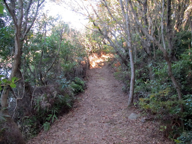 t19_095.jpg