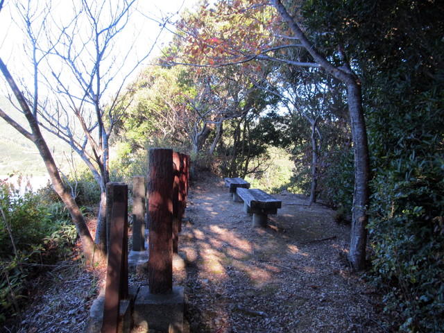 t19_096.jpg