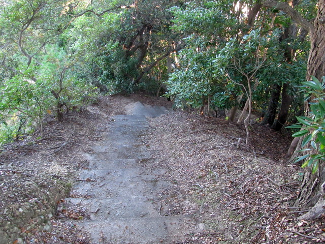 t19_098.jpg