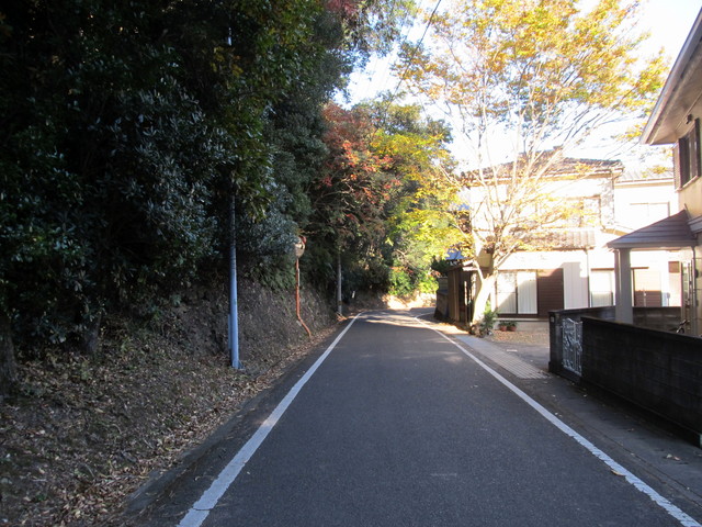 t19_103.jpg