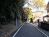 t19_103_thumb.jpg