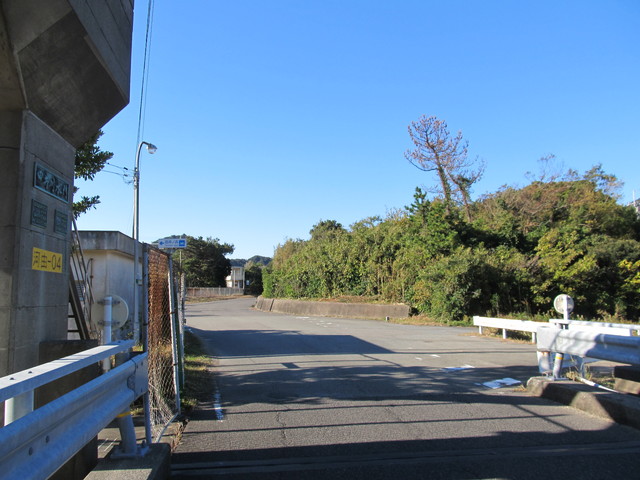 t19_110.jpg