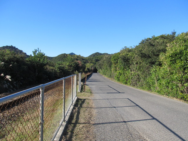 t19_114.jpg