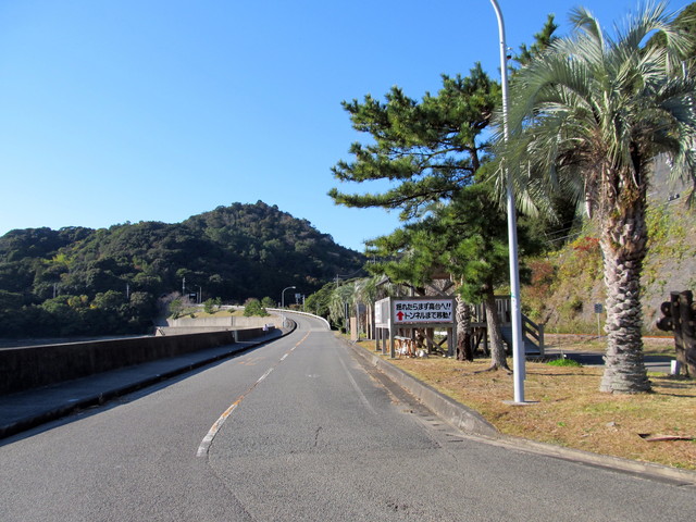 t19_117.jpg