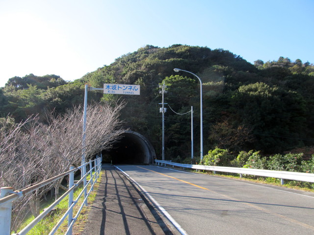 t19_120.jpg