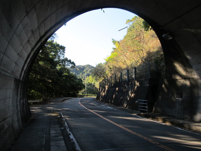 t19_121.jpg