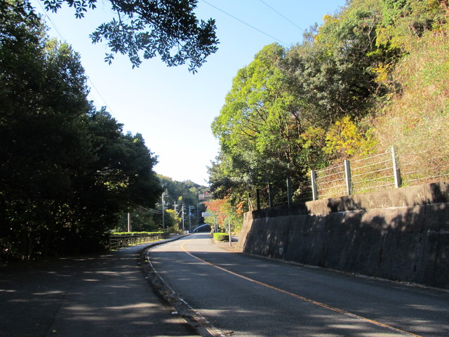 t19_122.jpg