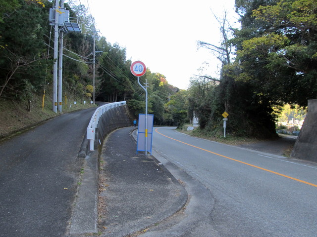 t19_123.jpg