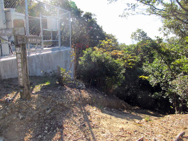 t19_129.jpg