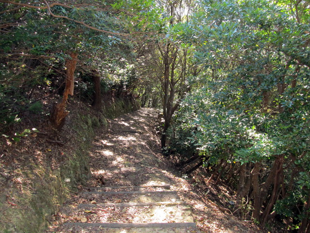t19_130.jpg