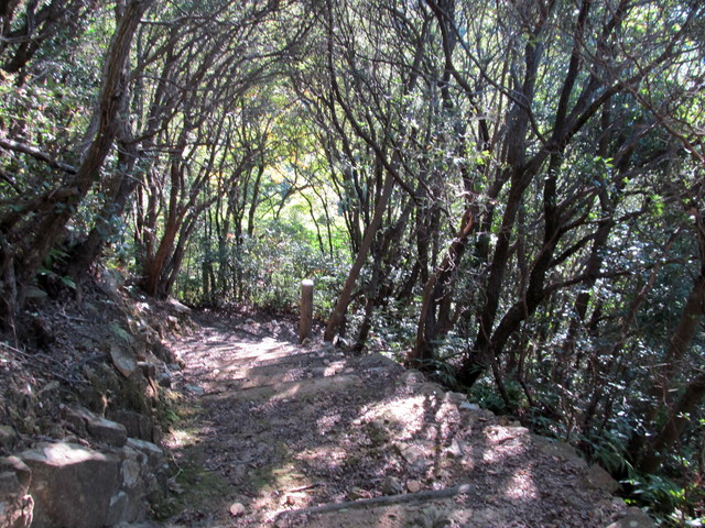 t19_131.jpg