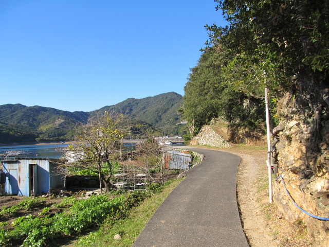 t19_138.jpg