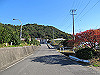 t19_146_thumb.jpg