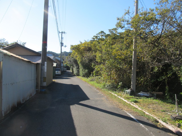 t19_161.jpg