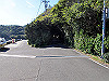 t19_162_thumb.jpg