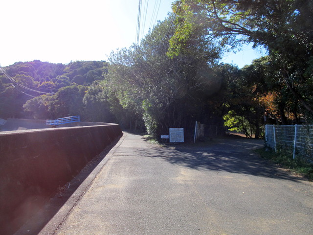 t19_164.jpg