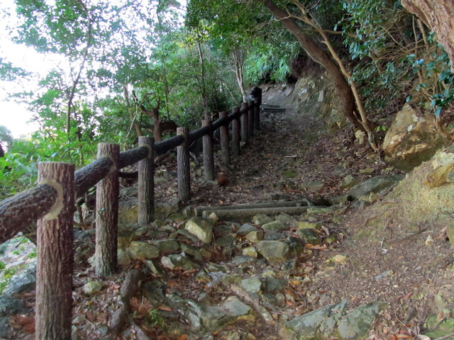 t19_167.jpg