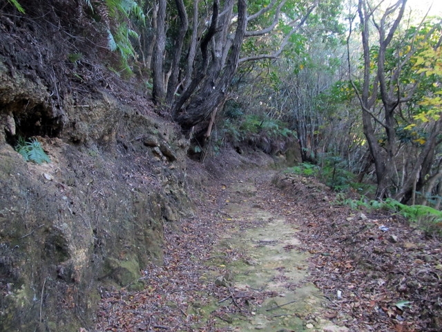 t19_170.jpg