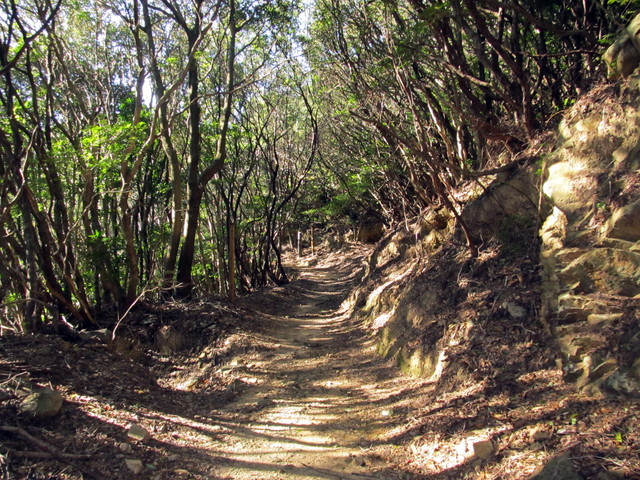 t19_171.jpg