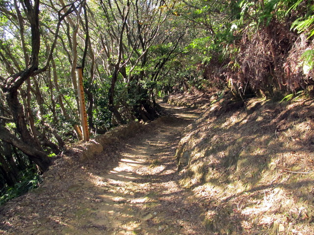 t19_172.jpg