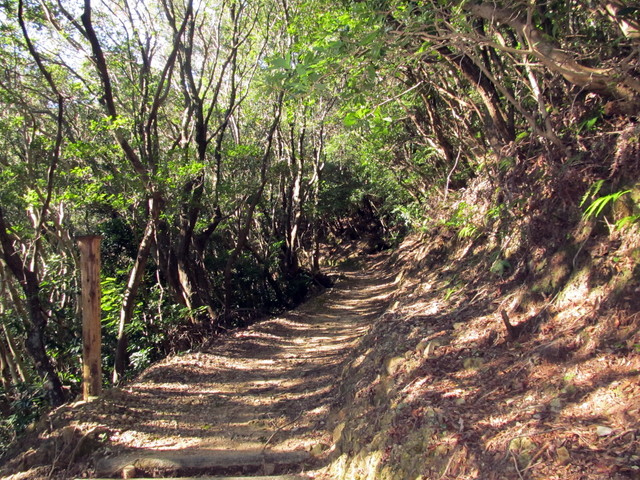 t19_173.jpg