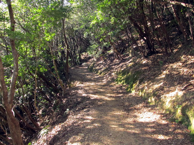 t19_174.jpg