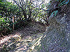 t19_176_thumb.jpg