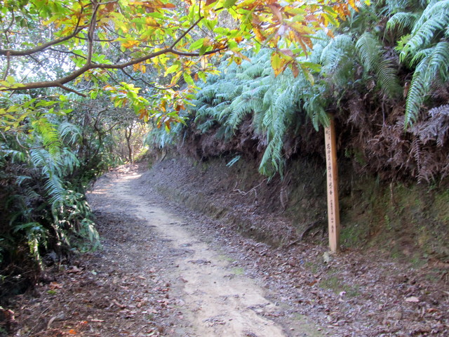 t19_178.jpg