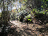 t19_179_thumb.jpg