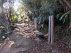 t19_180_thumb.jpg
